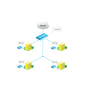 Master MikroTik Wireless CAPsMAN Configuration Workshop