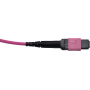 SYNOXX 16F OM4 Type B MPO Trunk Cable MPO Female 5m | 16FMTPOM4-5M