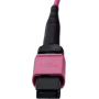 SYNOXX 16F OM4 Type B MPO Trunk Cable MPO Female 10m | 16FMTPOM4-10M